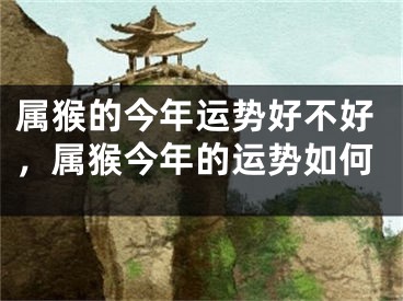 属猴的今年运势好不好,属猴今年的运势如何