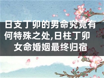 日支丁卯的男命究竟有何特殊之处,日柱丁卯女命婚姻最终归宿