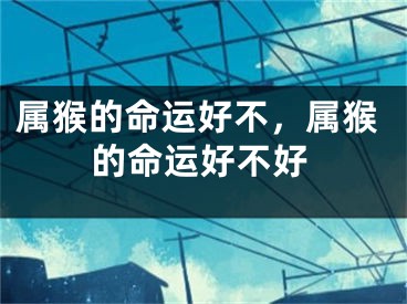 属猴的命运好不，属猴的命运好不好