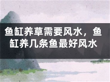 鱼缸养草需要风水，鱼缸养几条鱼最好风水