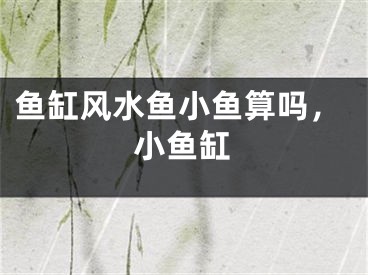 鱼缸风水鱼小鱼算吗，小鱼缸