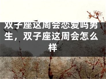 双子座这周会恋爱吗男生,双子座这周会怎么样