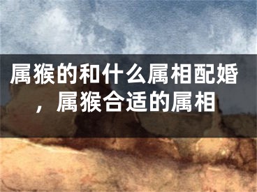 属猴的和什么属相配婚，属猴合适的属相