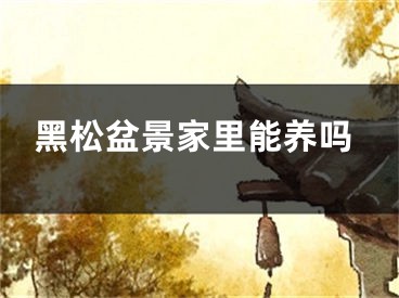 黑松盆景家里能养吗