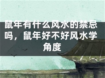 鼠年有什么风水的禁忌吗，鼠年好不好风水学角度