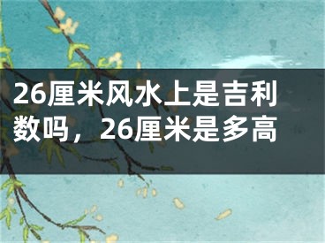 26厘米风水上是吉利数吗,26厘米是多高