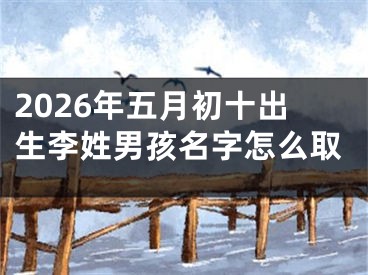 2026年五月初十出生李姓男孩名字怎么取