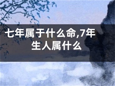 七年属于什么命,7年生人属什么