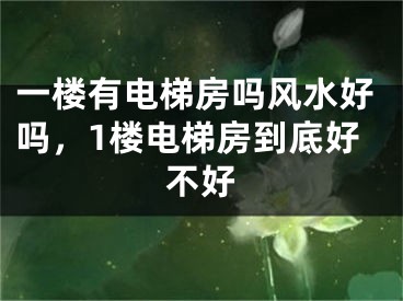 一楼有电梯房吗风水好吗，1楼电梯房到底好不好