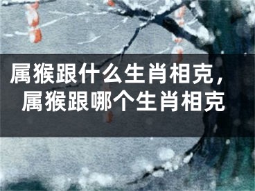 属猴跟什么生肖相克，属猴跟哪个生肖相克