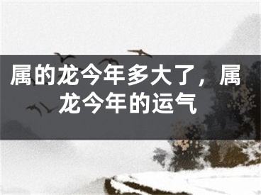 属的龙今年多大了，属龙今年的运气