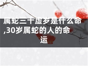 属蛇三十虚岁是什么命,30岁属蛇的人的命运