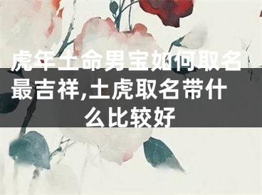 虎年土命男宝如何取名最吉祥,土虎取名带什么比较好