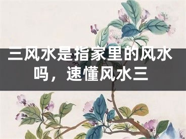 三风水是指家里的风水吗，速懂风水三