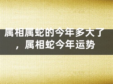 属相属蛇的今年多大了，属相蛇今年运势