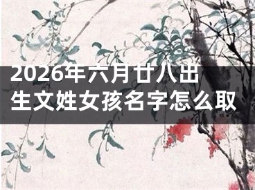 2026年六月廿八出生文姓女孩名字怎么取