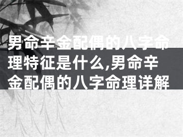 男命辛金配偶的八字命理特征是什么,男命辛金配偶的八字命理详解