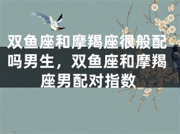 双鱼座和摩羯座很般配吗男生,双鱼座和摩羯座男配对指数