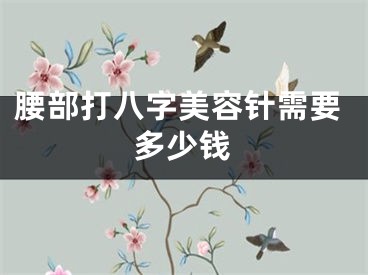 腰部打八字美容针需要多少钱