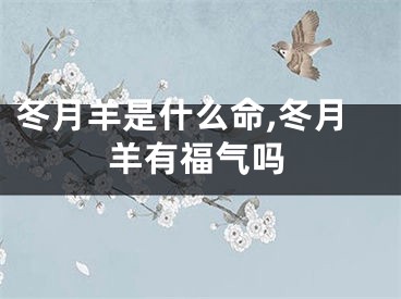 冬月羊是什么命,冬月羊有福气吗