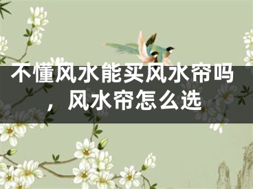 不懂风水能买风水帘吗，风水帘怎么选