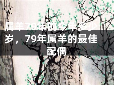 属羊79年的今年多少岁，79年属羊的最佳配偶