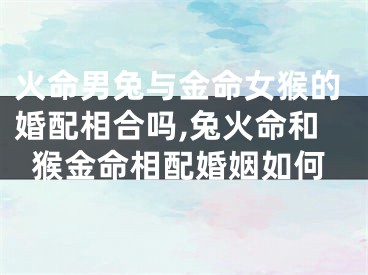 火命男兔与金命女猴的婚配相合吗,兔火命和猴金命相配婚姻如何