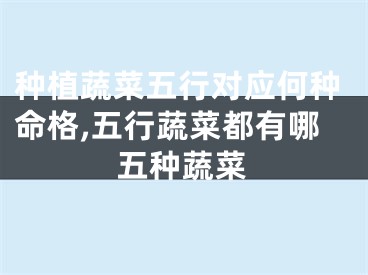 种植蔬菜五行对应何种命格,五行蔬菜都有哪五种蔬菜