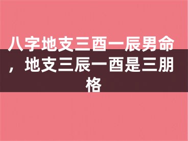 八字地支三酉一辰男命，地支三辰一酉是三朋格