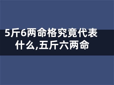 5斤6两命格究竟代表什么,五斤六两命