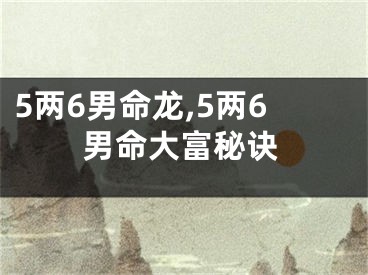 5两6男命龙,5两6男命大富秘诀
