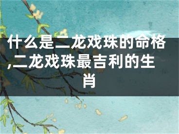 什么是二龙戏珠的命格,二龙戏珠最吉利的生肖