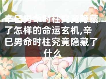 辛巳男命时柱究竟隐藏了怎样的命运玄机,辛巳男命时柱究竟隐藏了什么