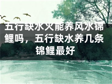 五行缺水火能养风水锦鲤吗,五行缺水养几条锦鲤最好