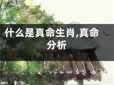 什么是真命生肖,真命分析