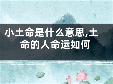 小土命是什么意思,土命的人命运如何