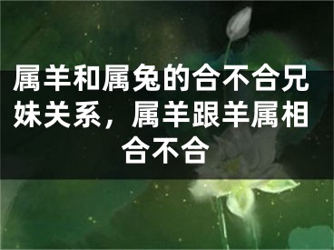 属羊和属兔的合不合兄妹关系，属羊跟羊属相合不合