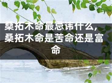 桑拓木命最忌讳什么,桑拓木命是苦命还是富命