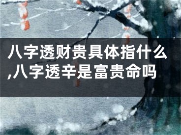 八字透财贵具体指什么,八字透辛是富贵命吗
