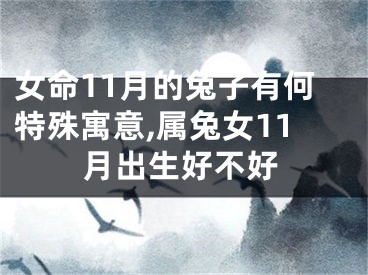 女命11月的兔子有何特殊寓意,属兔女11月出生好不好