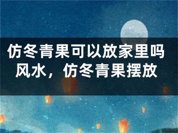 仿冬青果可以放家里吗风水，仿冬青果摆放