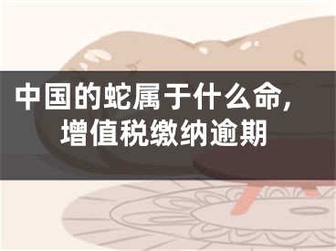 中国的蛇属于什么命,增值税缴纳逾期