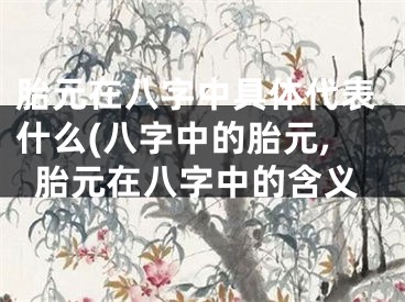 胎元在八字中具体代表什么(八字中的胎元,胎元在八字中的含义