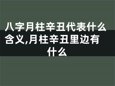 八字月柱辛丑代表什么含义,月柱辛丑里边有什么
