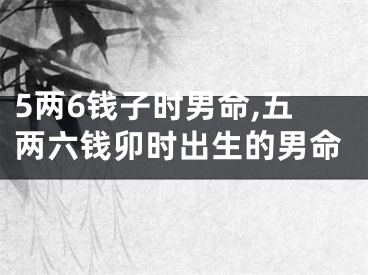 5两6钱子时男命,五两六钱卯时出生的男命