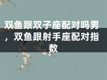 双鱼跟双子座配对吗男，双鱼跟射手座配对指数