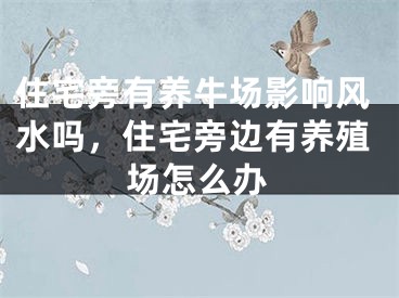 住宅旁有养牛场影响风水吗，住宅旁边有养殖场怎么办