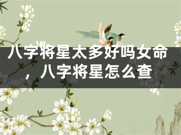 八字将星太多好吗女命，八字将星怎么查