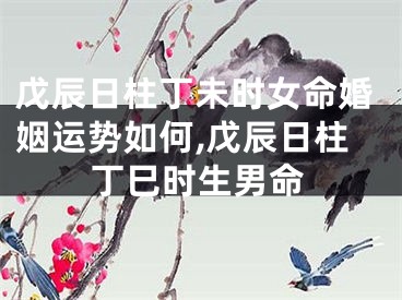 戊辰日柱丁未时女命婚姻运势如何,戊辰日柱丁巳时生男命
