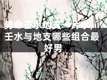男命壬水地支一片水,壬水与地支哪些组合最好男